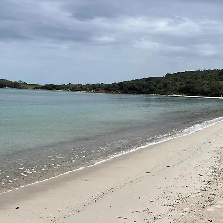 Mini 63 Proche Dans Résidence Avec Piscine à Favone Appartement *