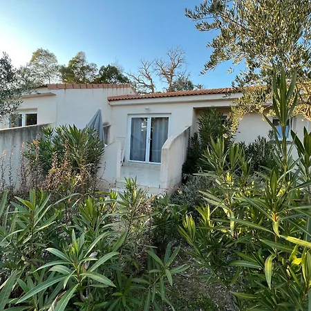 Mini 63 Proche Dans Avec Piscine A Favone * Sari-Solenzara