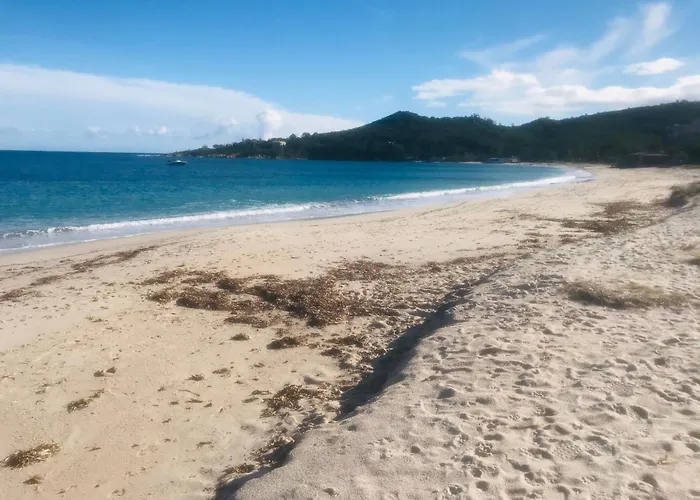 Mini 63 Proche Dans Avec Piscine A Favone Appartement *