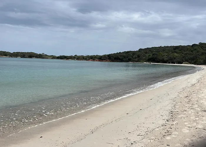 Mini 63 Proche Dans Résidence Avec Piscine à Favone Apartamento *